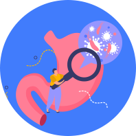 Stomach Care & Gut Health